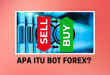 Apa Itu Bot Forex